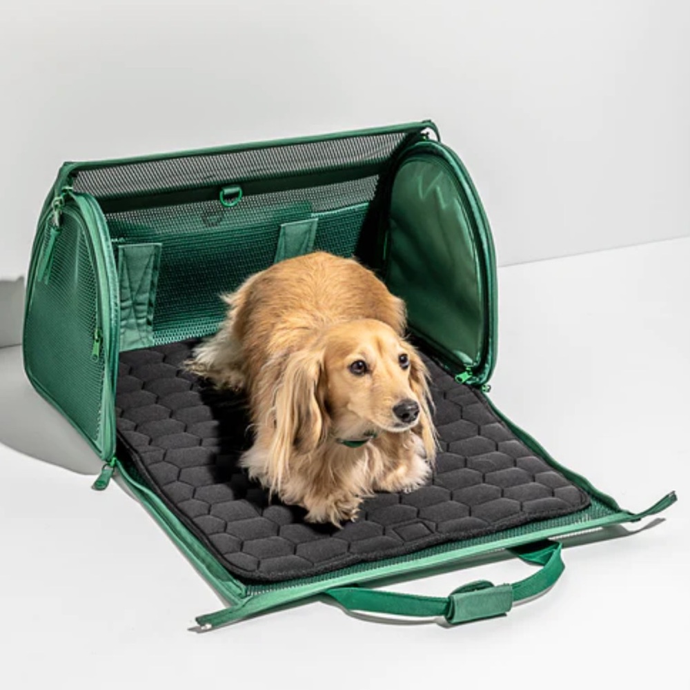 Wild One • Dog Carrier